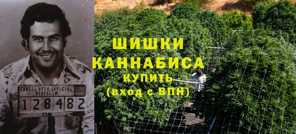 гашиш Богданович