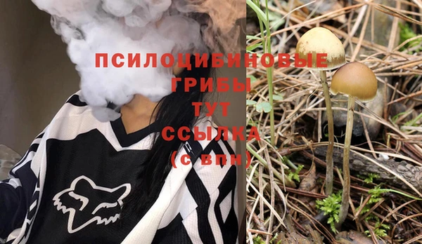эйфоретик Белоозёрский