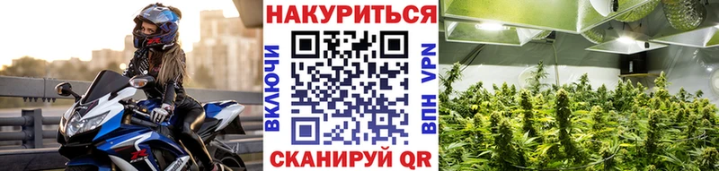 мориарти какой сайт Велиж Бошки марихуана Ganja